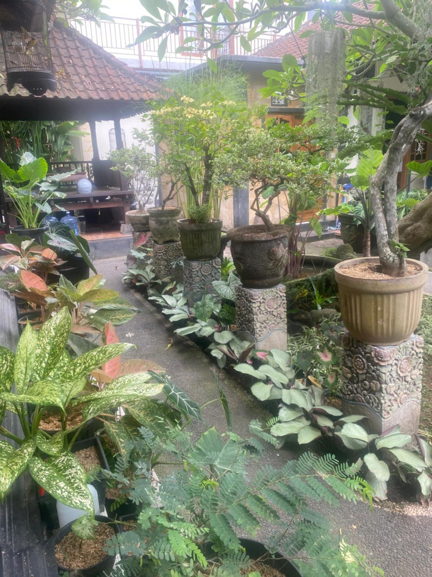 Suryadina Casa de hóspedes *