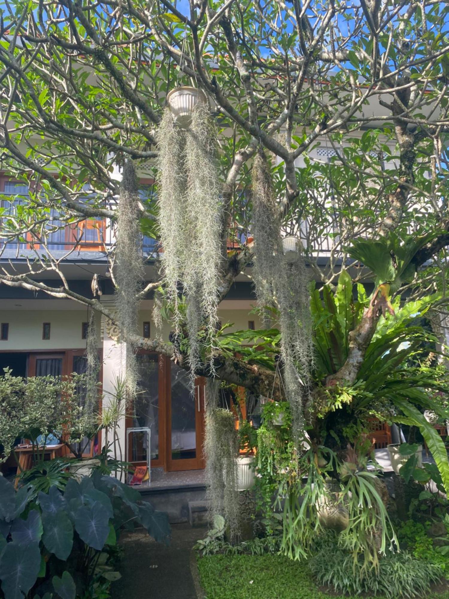 Suryadina Casa de hóspedes Ubud