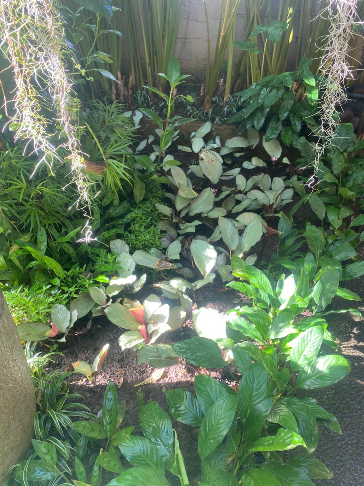 Casa de hóspedes Suryadina Ubud